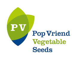 POP VRIED